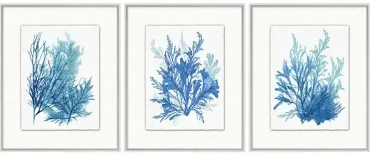 Lillian August - Azure Ocean Herbarium 7-9 - Blue