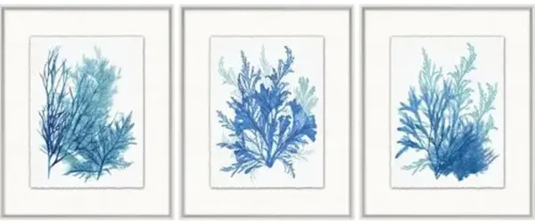 Lillian August - Azure Ocean Herbarium 7-9 - Blue