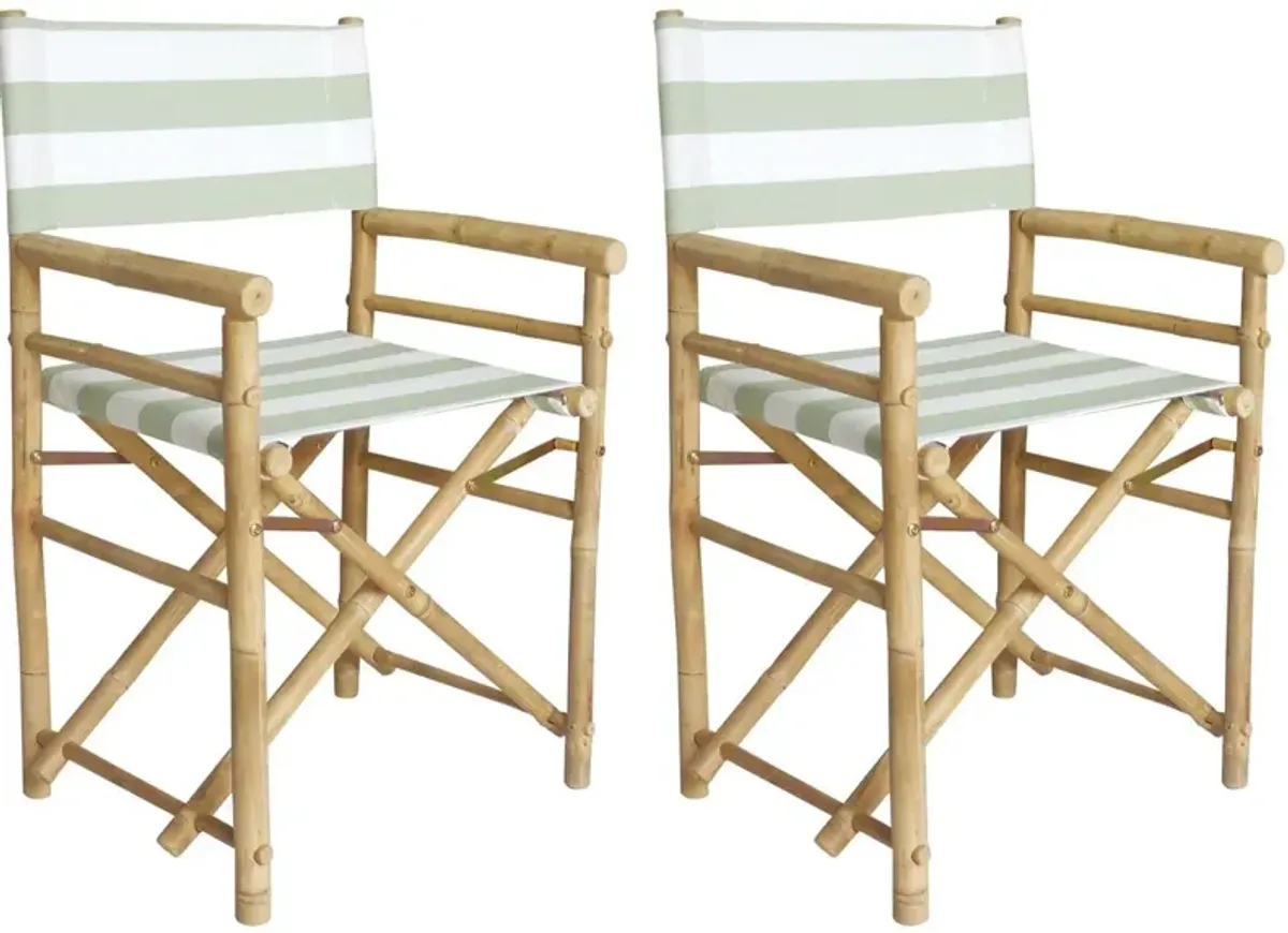 S/2 Director's Outdoor Chairs, Celadon/White