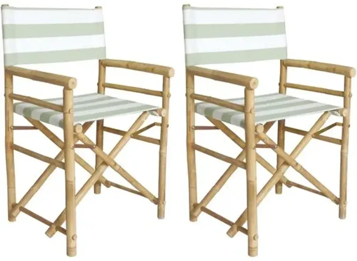 Set of 2 Director's Outdoor Chairs - Celadon/White - Green