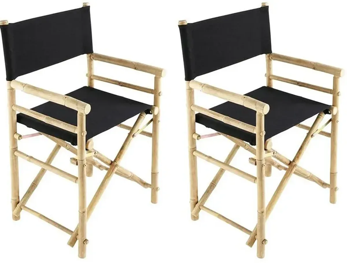 S/2 Director's Outdoor Chairs, Black