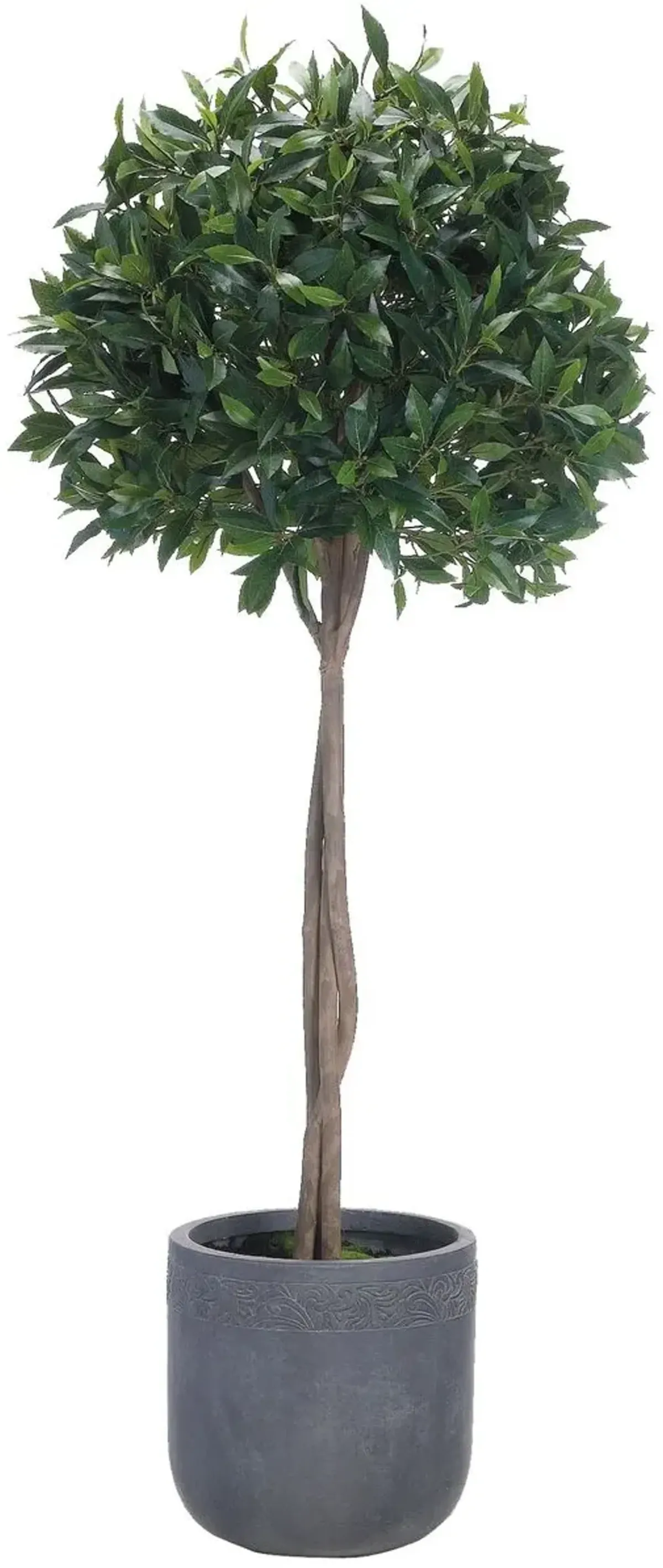70" Faux Bay Leaf Topiary