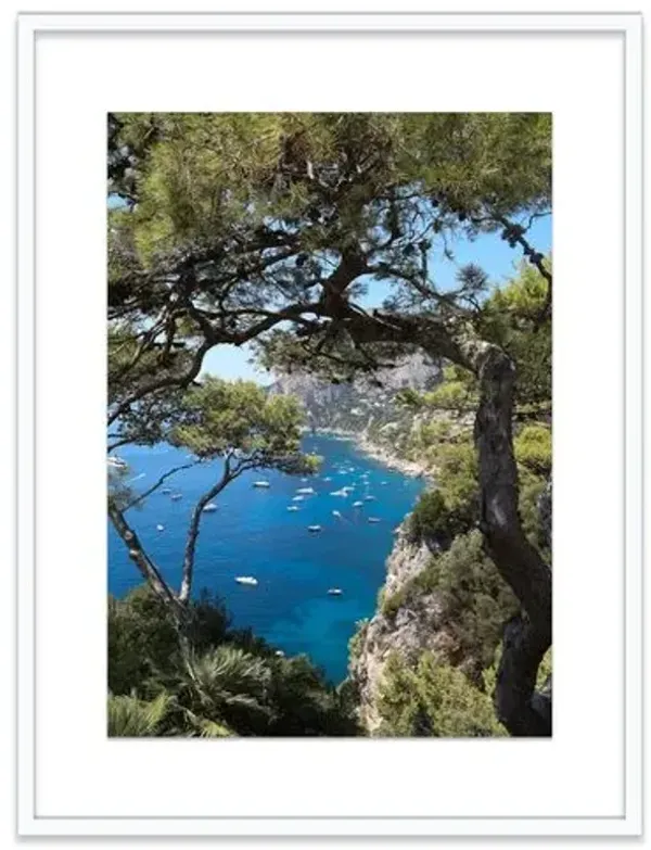 Natalie Obradovich - Punta Tragara Photograph - Green