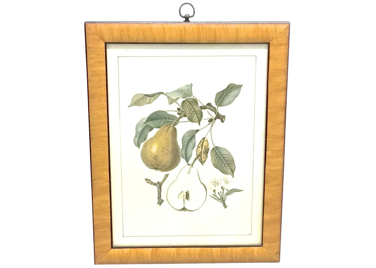 Pear & Branch Engraving - Vermilion Designs - Yellow