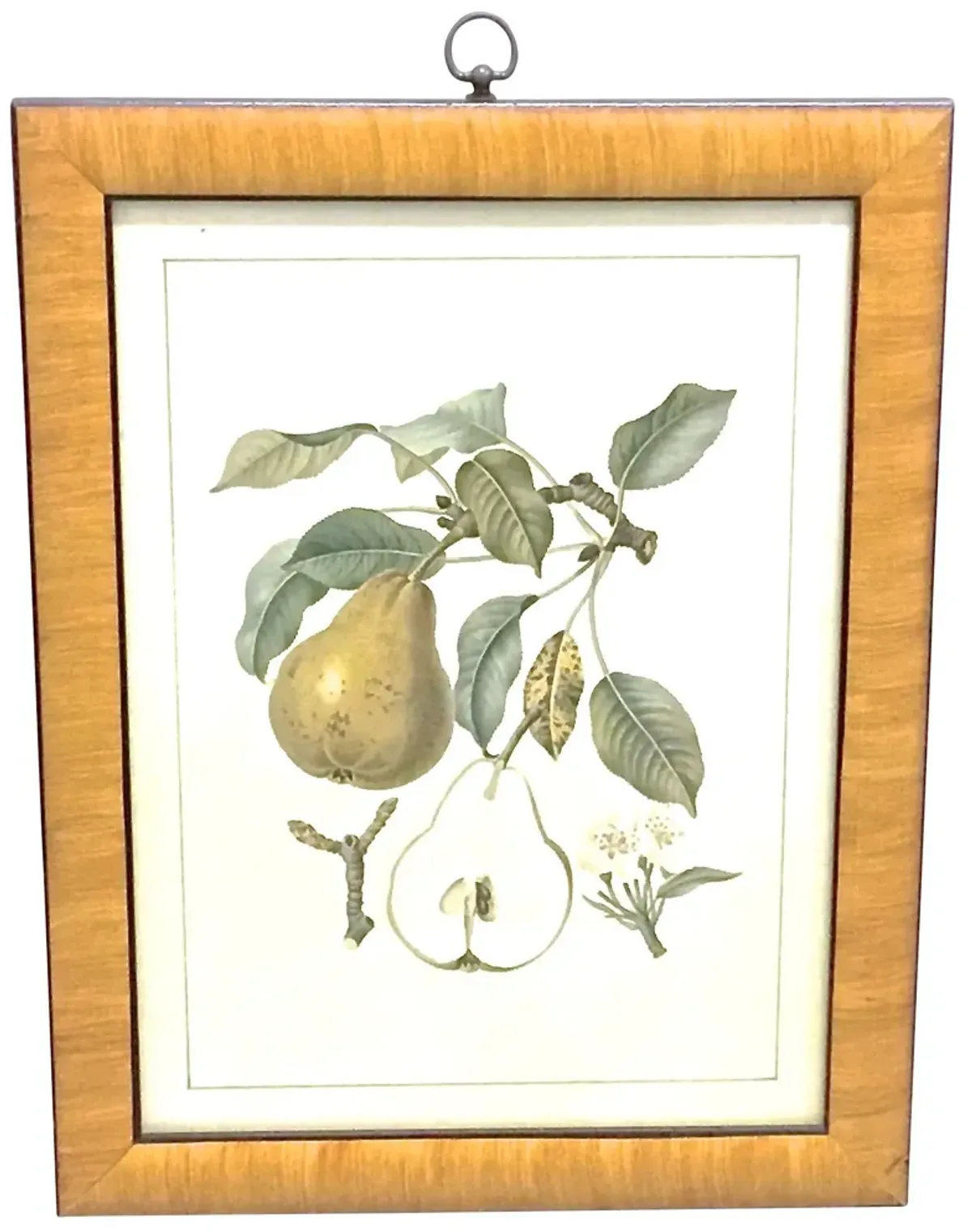 Pear & Branch Engraving - Vermilion Designs - Yellow