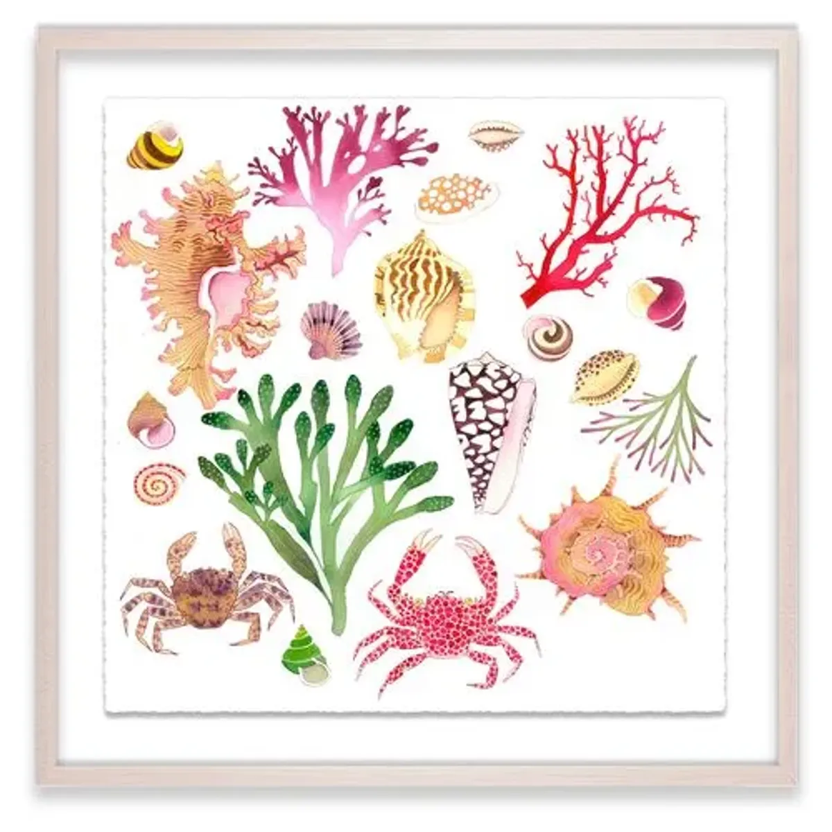 Gabby Malpas - Sea Stuff Painting - Pink