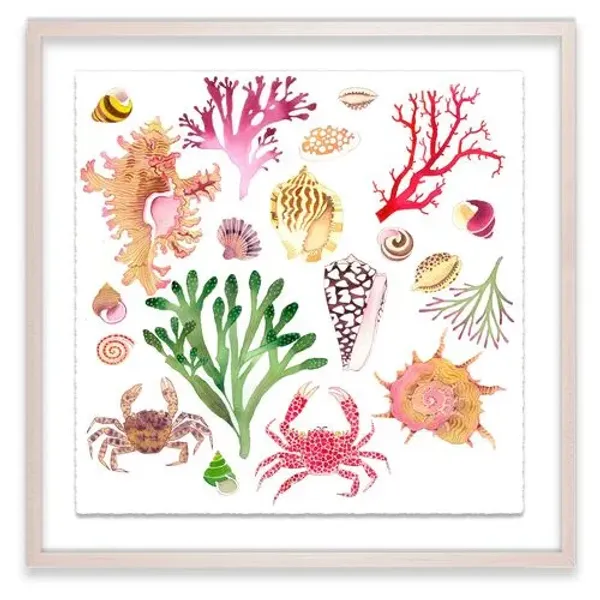 Gabby Malpas - Sea Stuff Painting - Pink