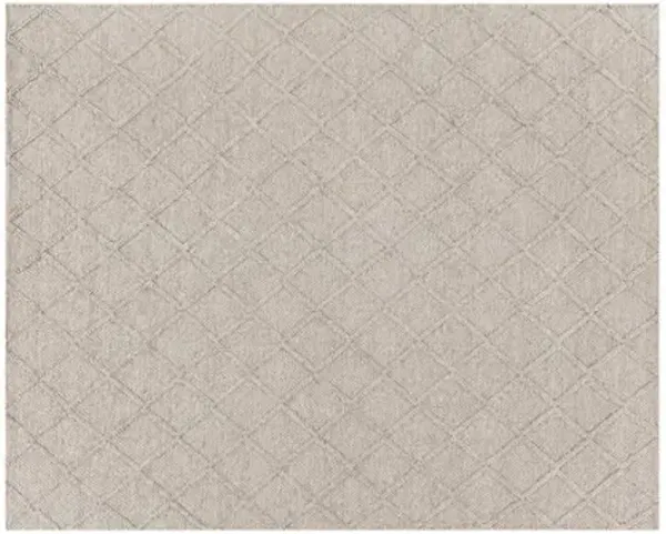 Baddeck Rug - Beige - Exquisite Rugs - Beige