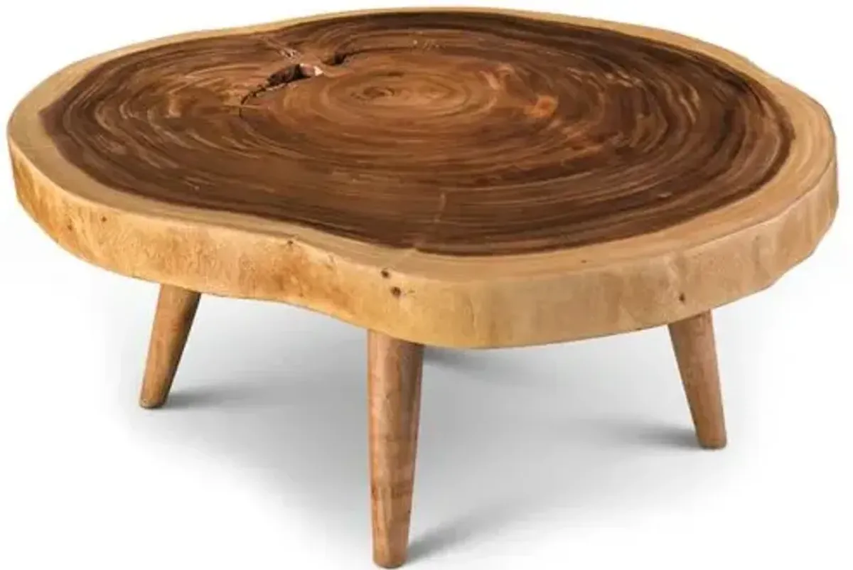 Fankie Freeform Wood Coffee Table - Natural - Brown