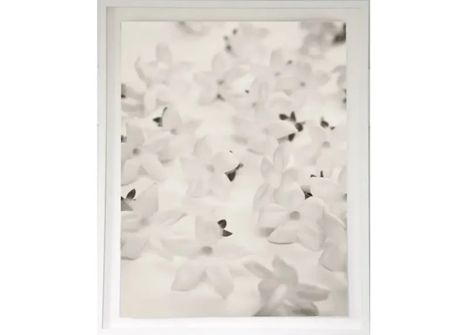 Dawn Wolfe - White Blossoms on Linen - Dawn Wolfe Design - Ivory