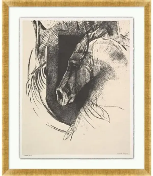Stallion - Beige