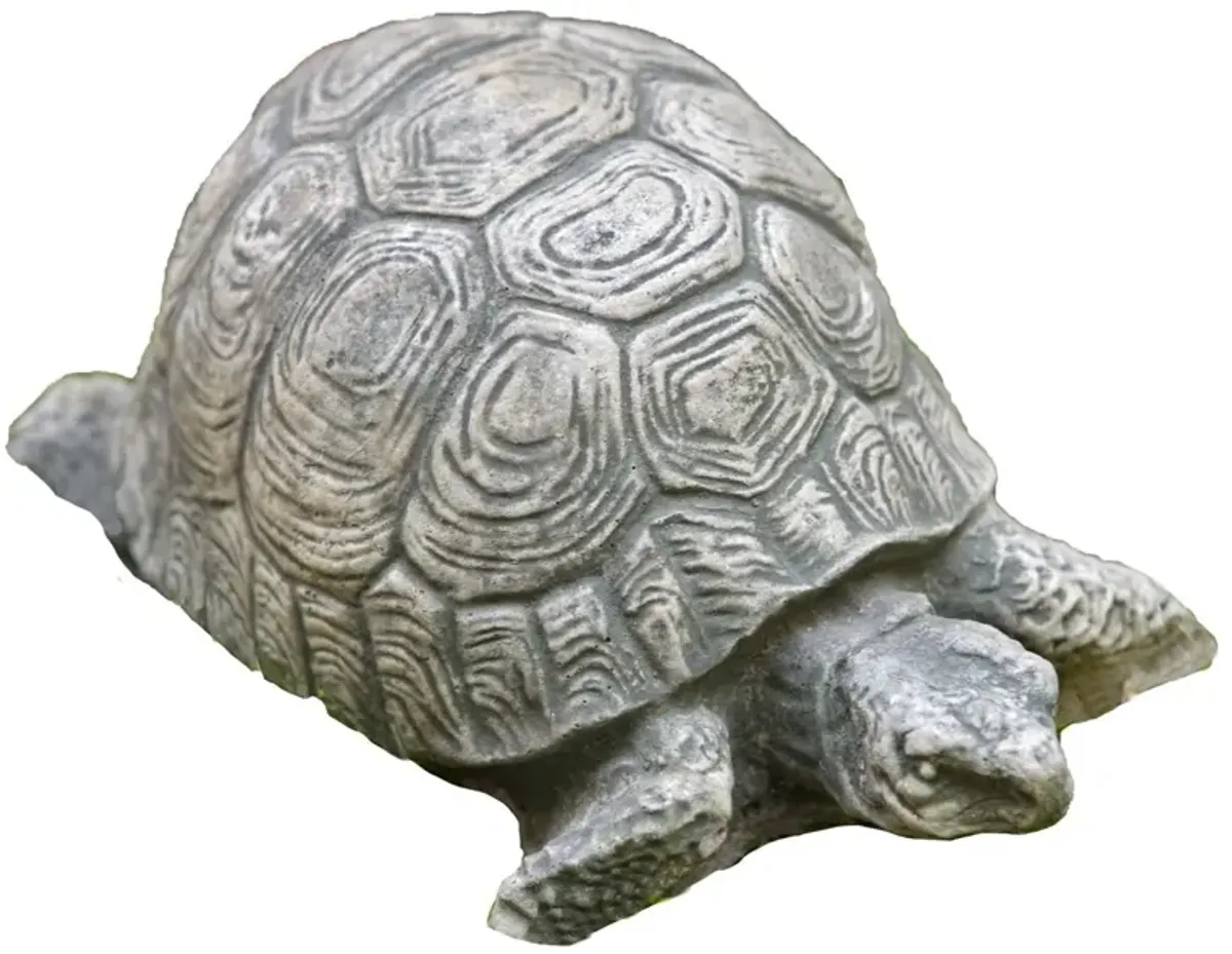 6" Turtle Outdoor Statue, Graystone