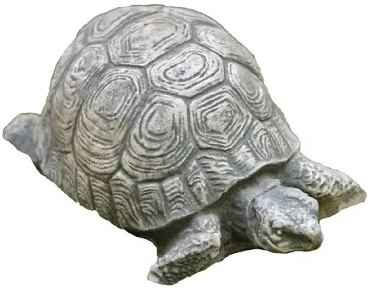 6" Turtle Outdoor Statue - Graystone - Campania International