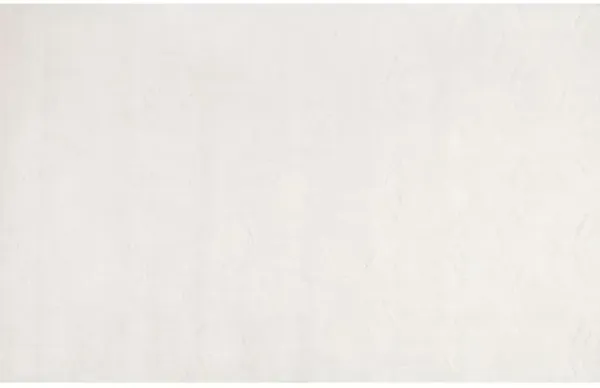 Ambrose Rug - Ivory - White - White