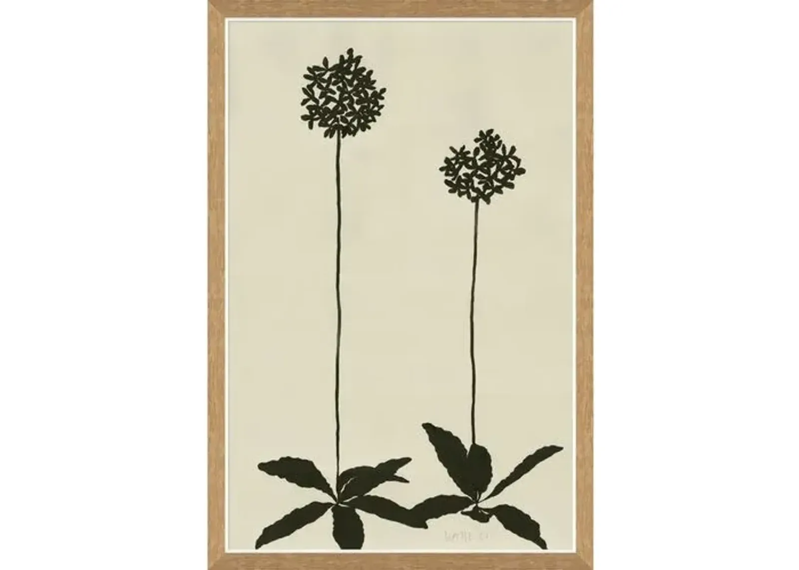 Susan Hable - Allium - Soicher Marin - Black