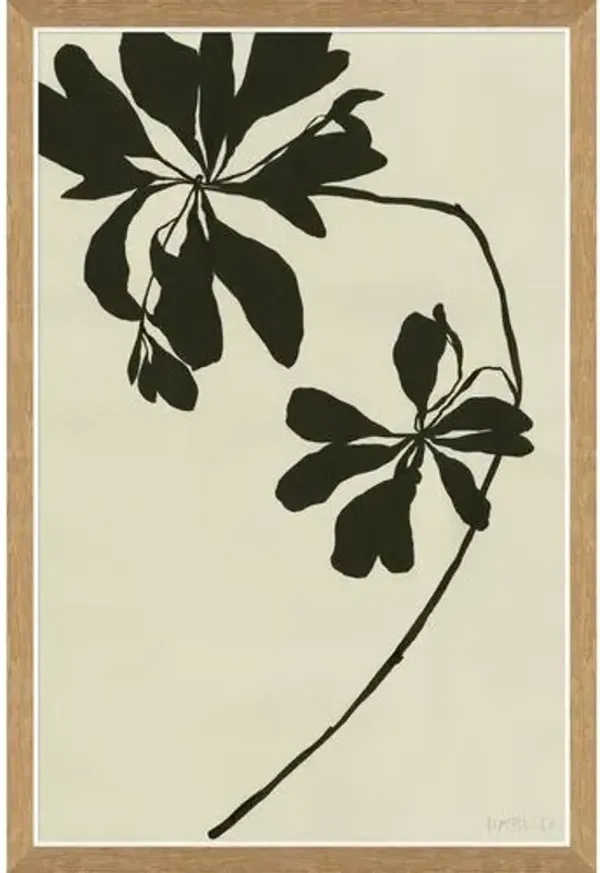 Susan Hable - Mediterranean Leaf - Soicher Marin - Black