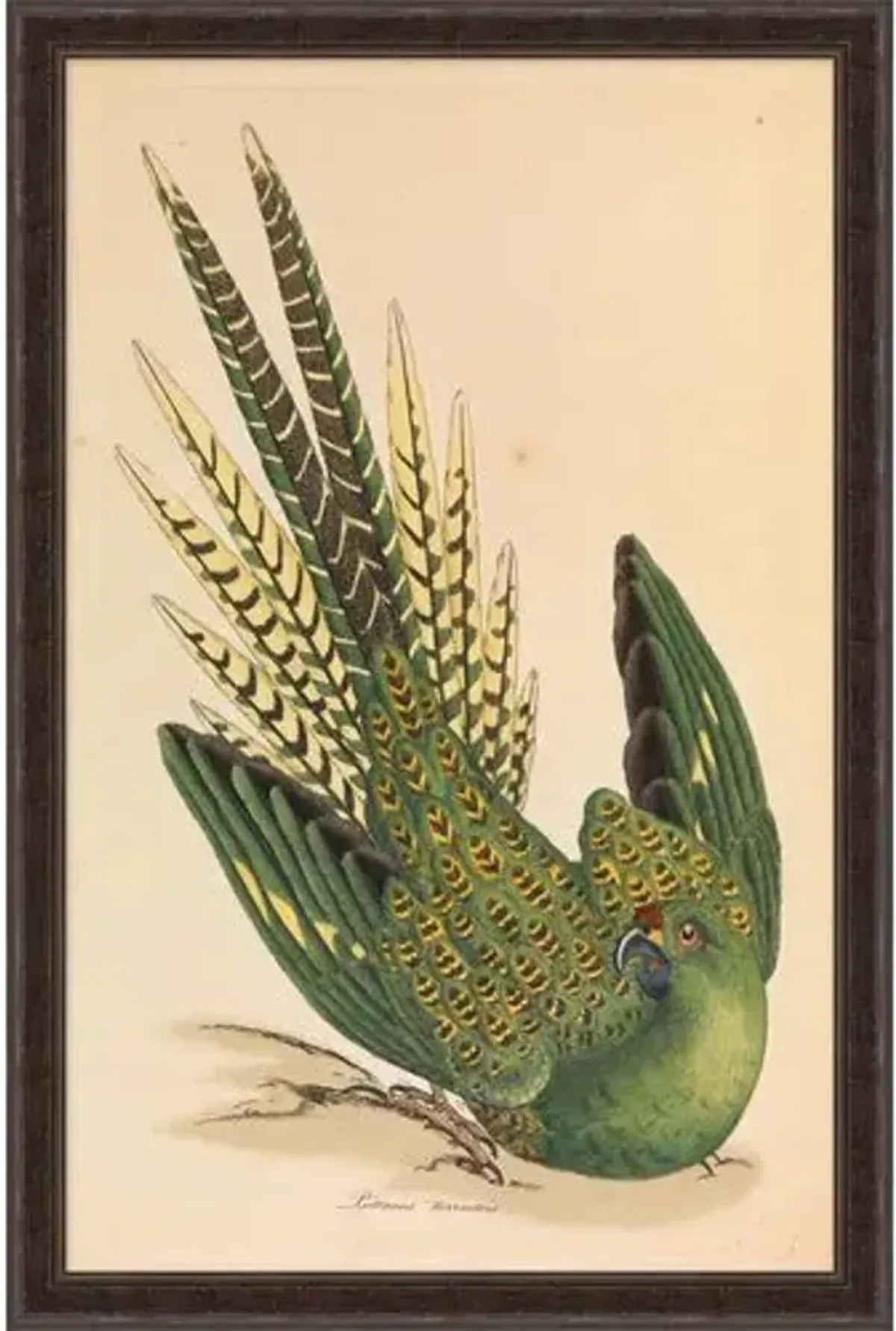 Grounded Parrot - Green