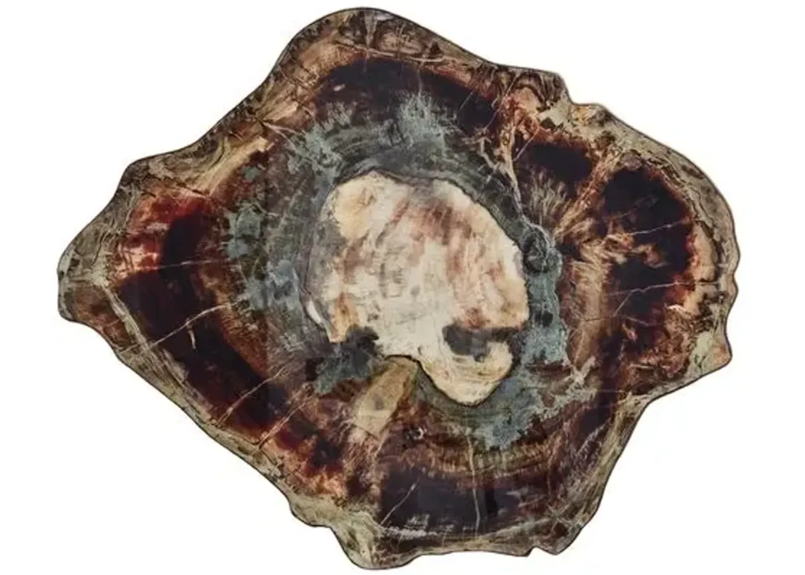 Set of 4 Fossil Place Mats - Brown - Kim Seybert