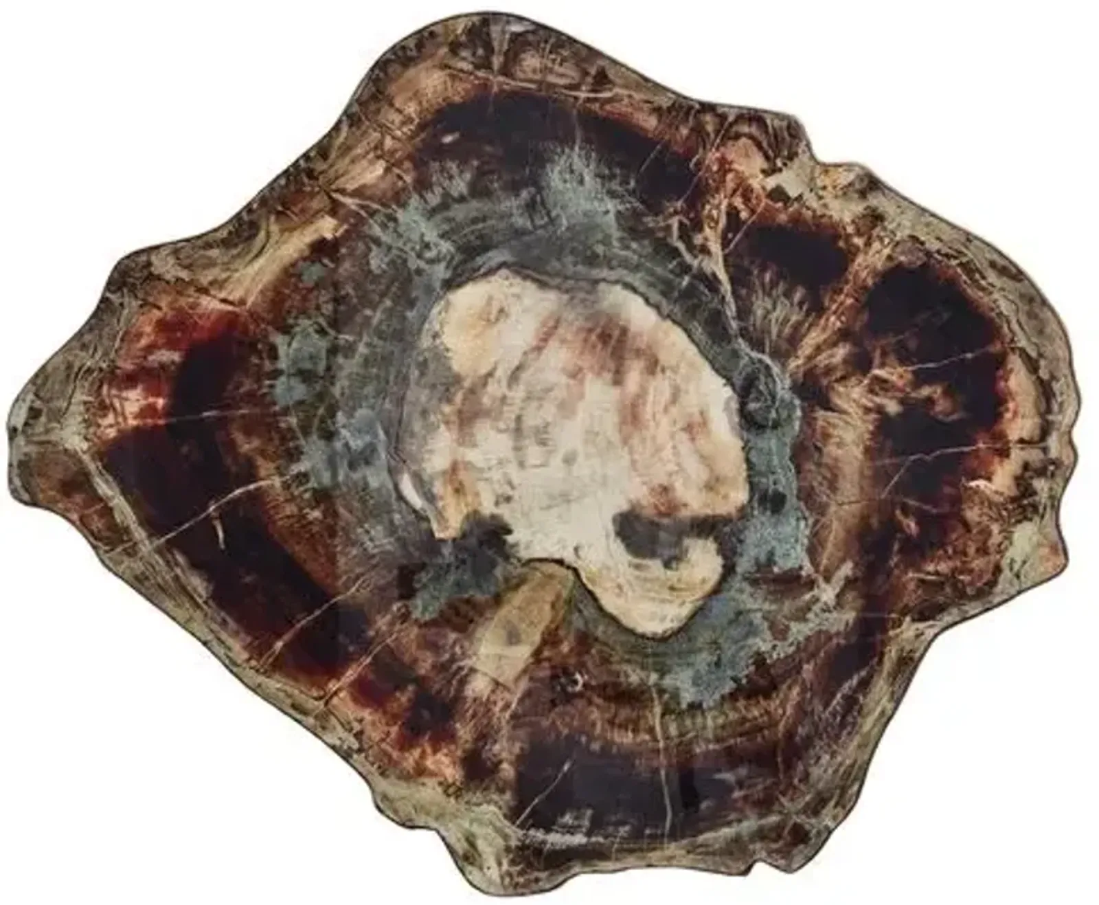 Set of 4 Fossil Place Mats - Brown - Kim Seybert