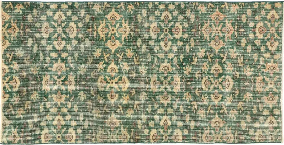 Turkish Zeki Moren Rug - 2'10" x 5' - Esmaili Rugs & Antiques - Green - Green