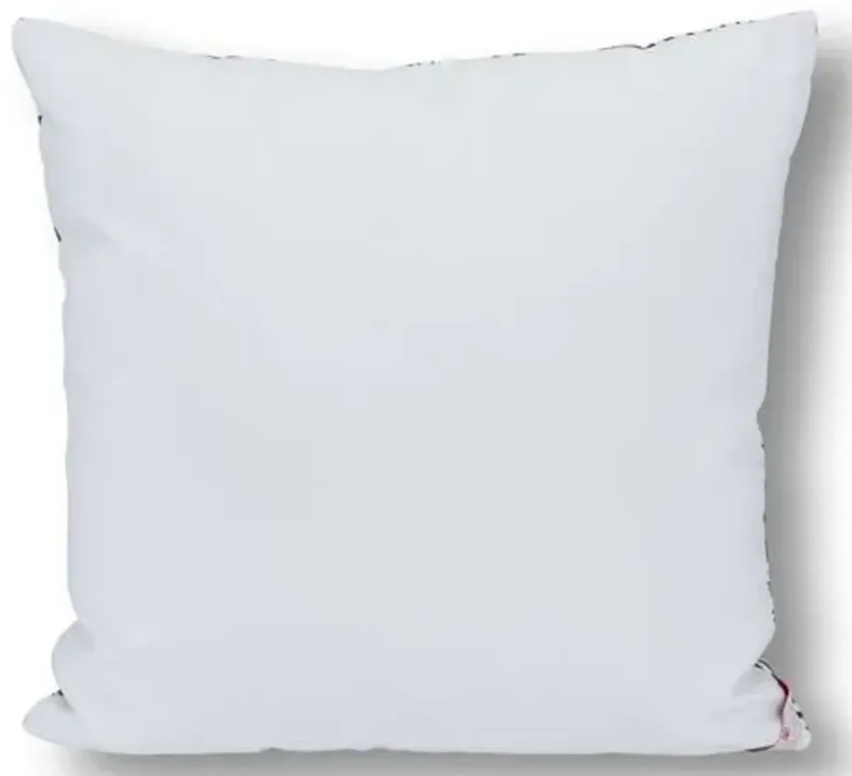 Anca Crane Outdoor 20x20 Pillow - Black/White - Kim Salmela