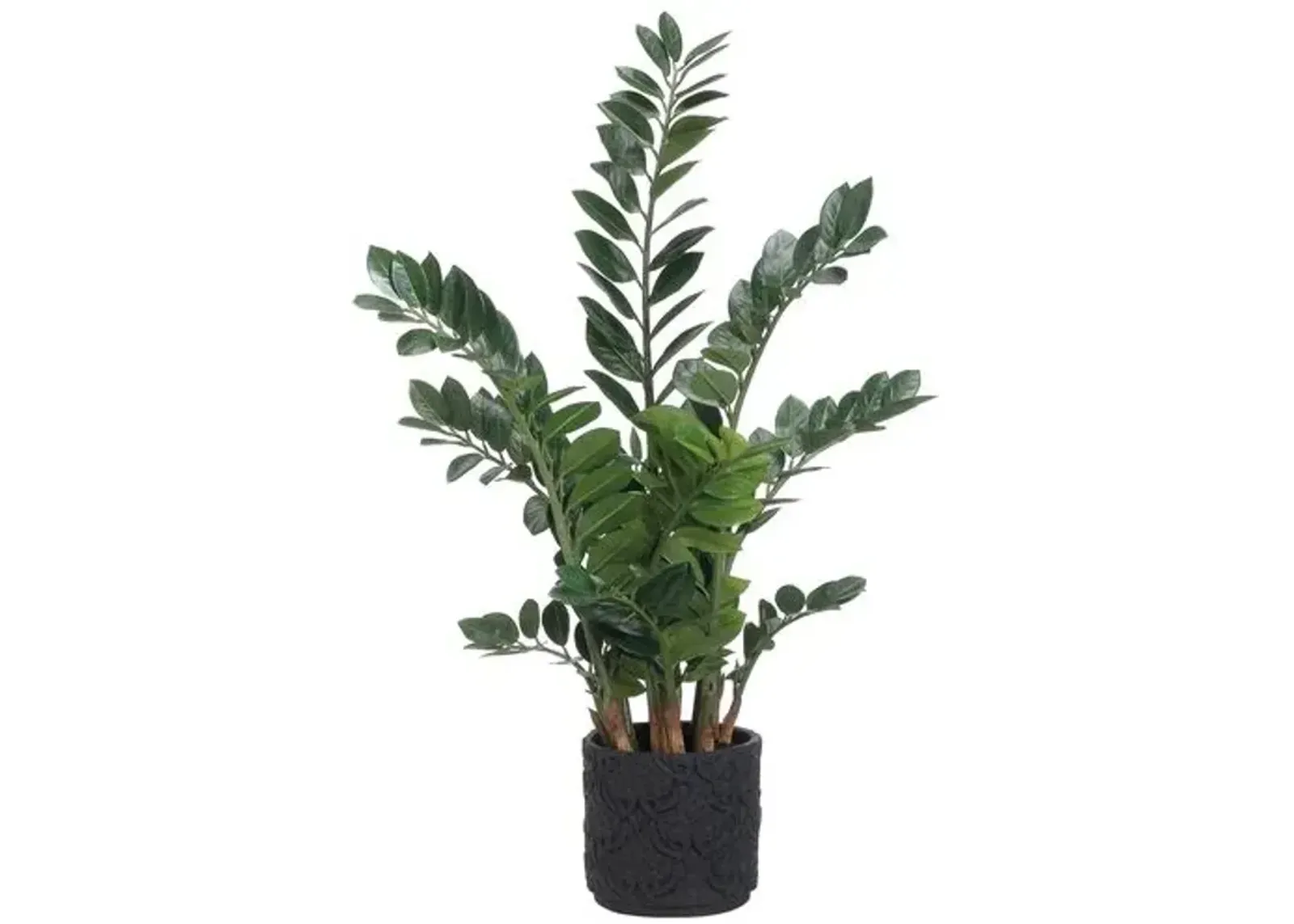 48" Zamioculcas Plant - Faux - Green