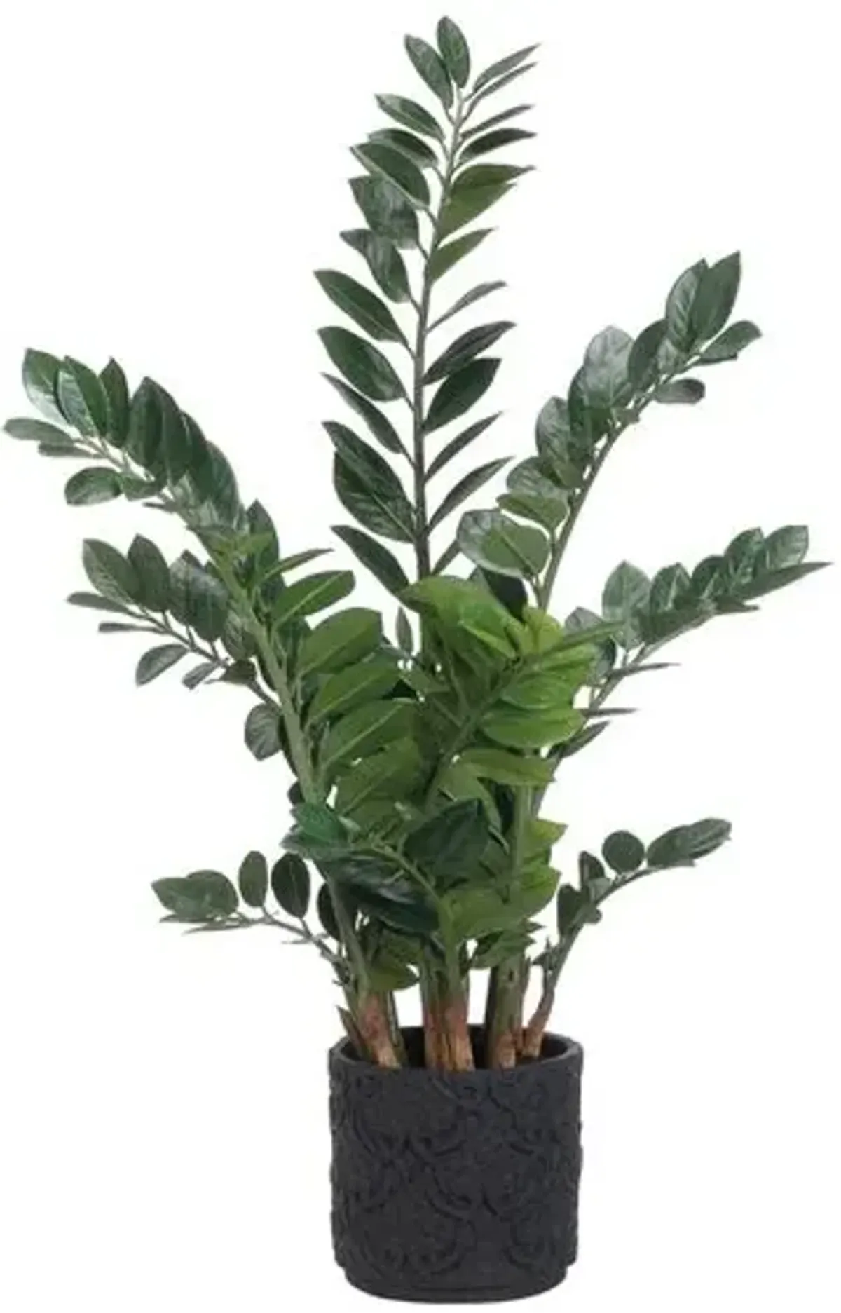 48" Zamioculcas Plant - Faux - Green