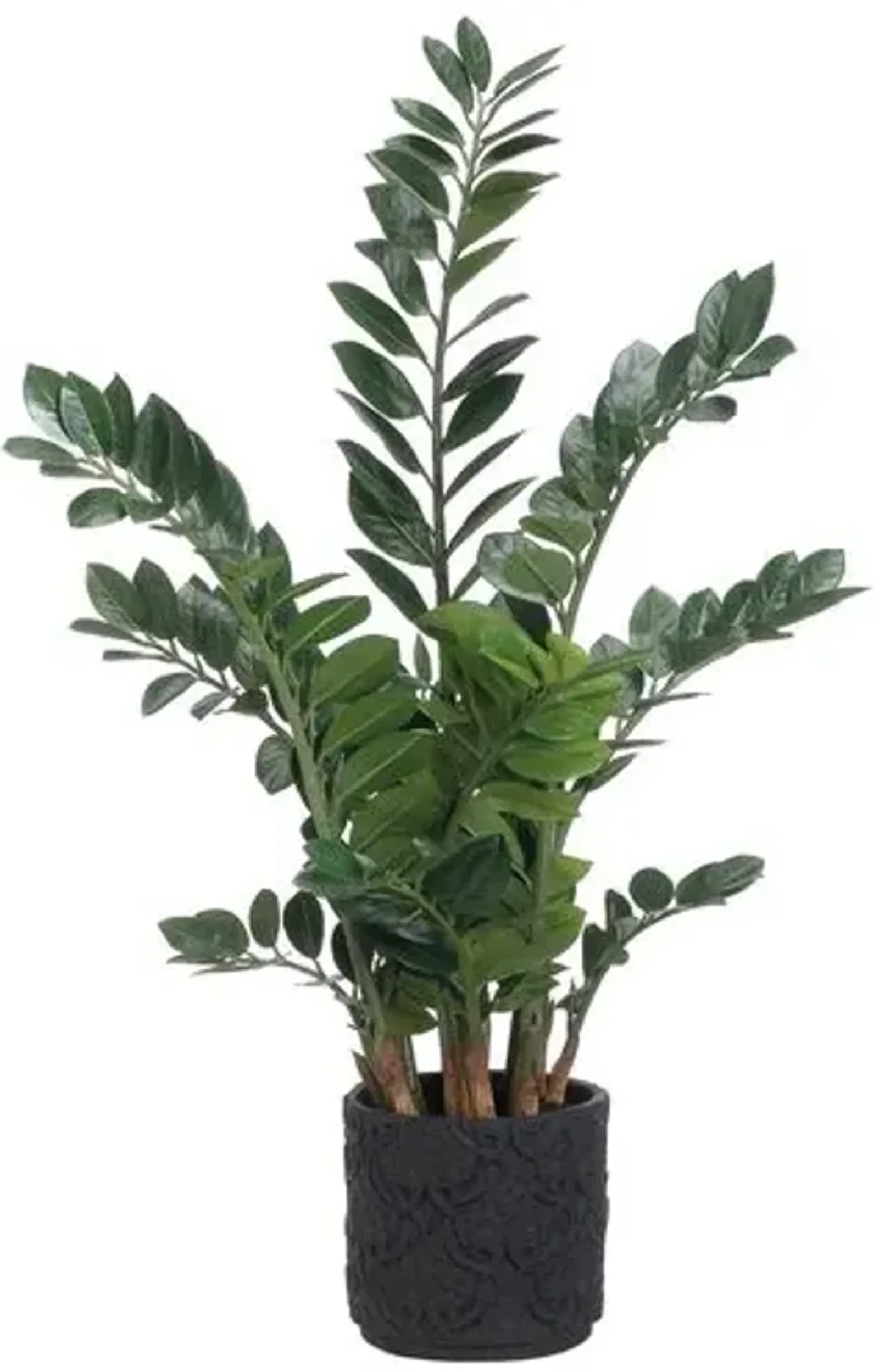 48" Zamioculcas Plant - Faux - Green