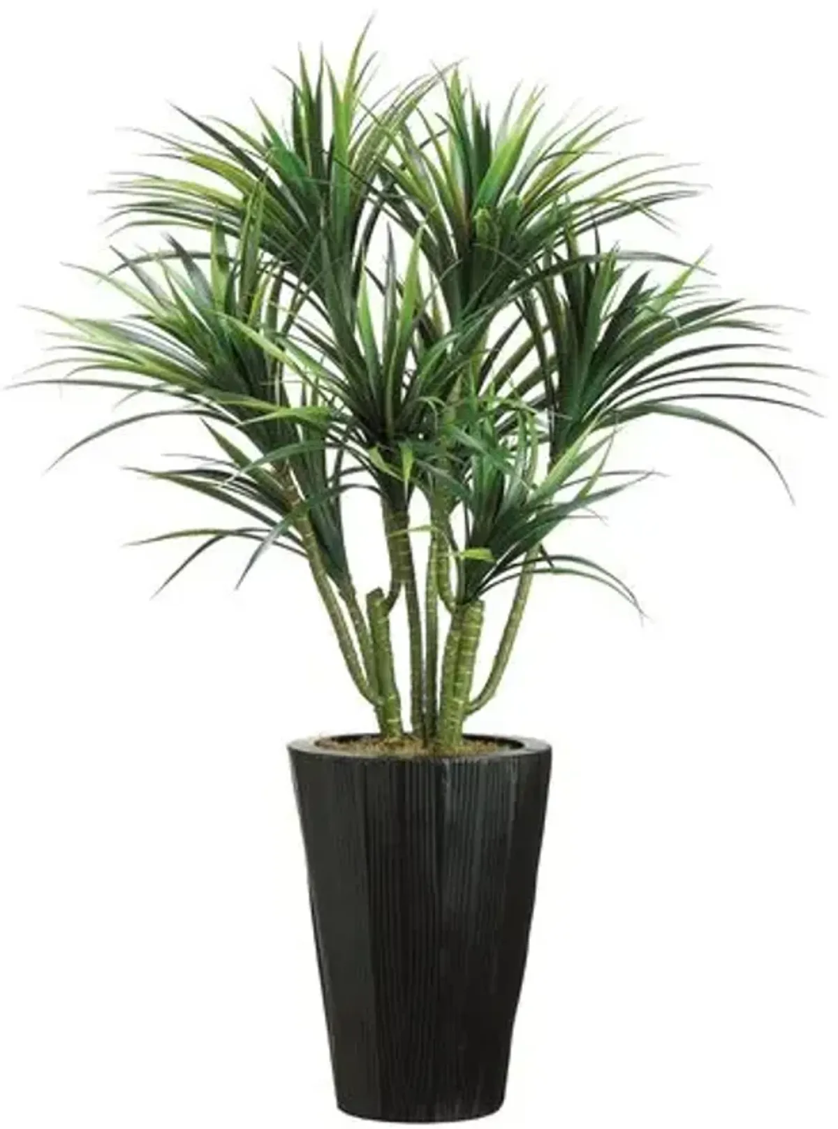 54" Dracaena Plant - Faux - Green