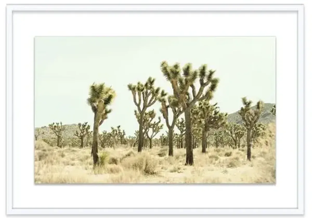 Christine Flynn - Joshua Tree I - Green