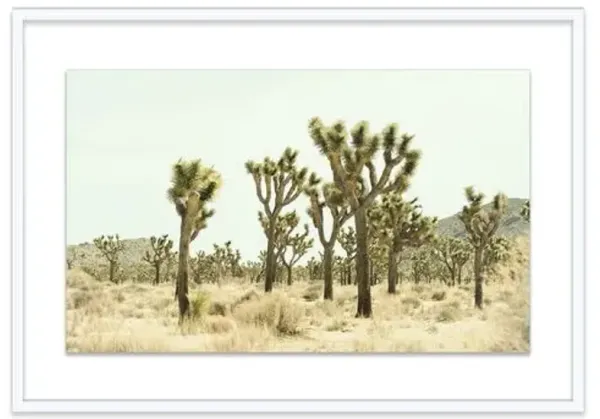 Christine Flynn - Joshua Tree I Photograph - Green