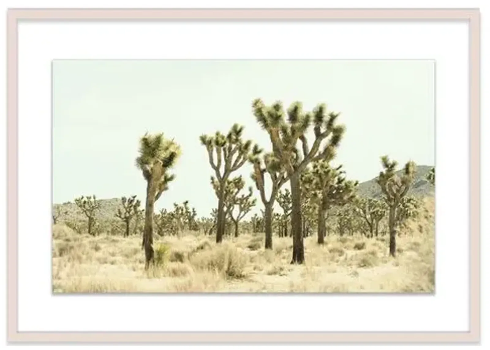 Christine Flynn - Joshua Tree I - Green