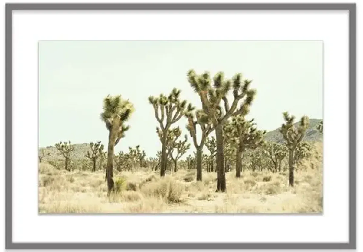 Christine Flynn - Joshua Tree I - Green