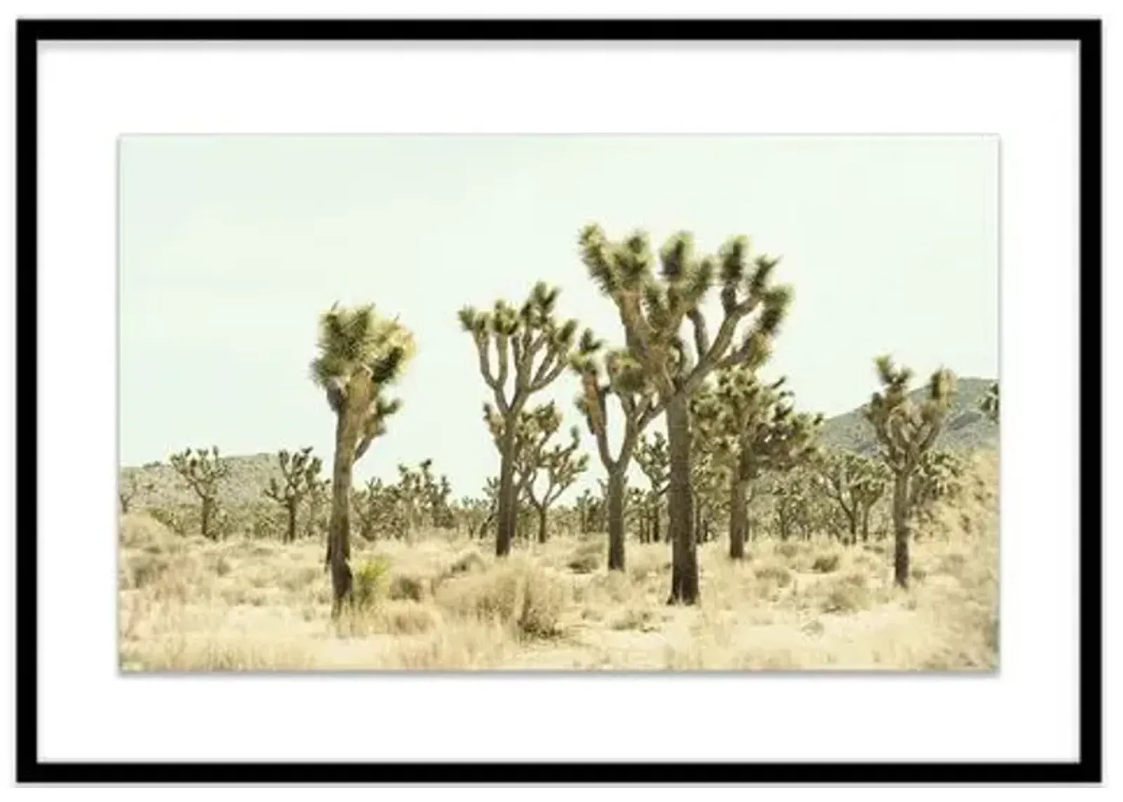 Christine Flynn - Joshua Tree I - Green