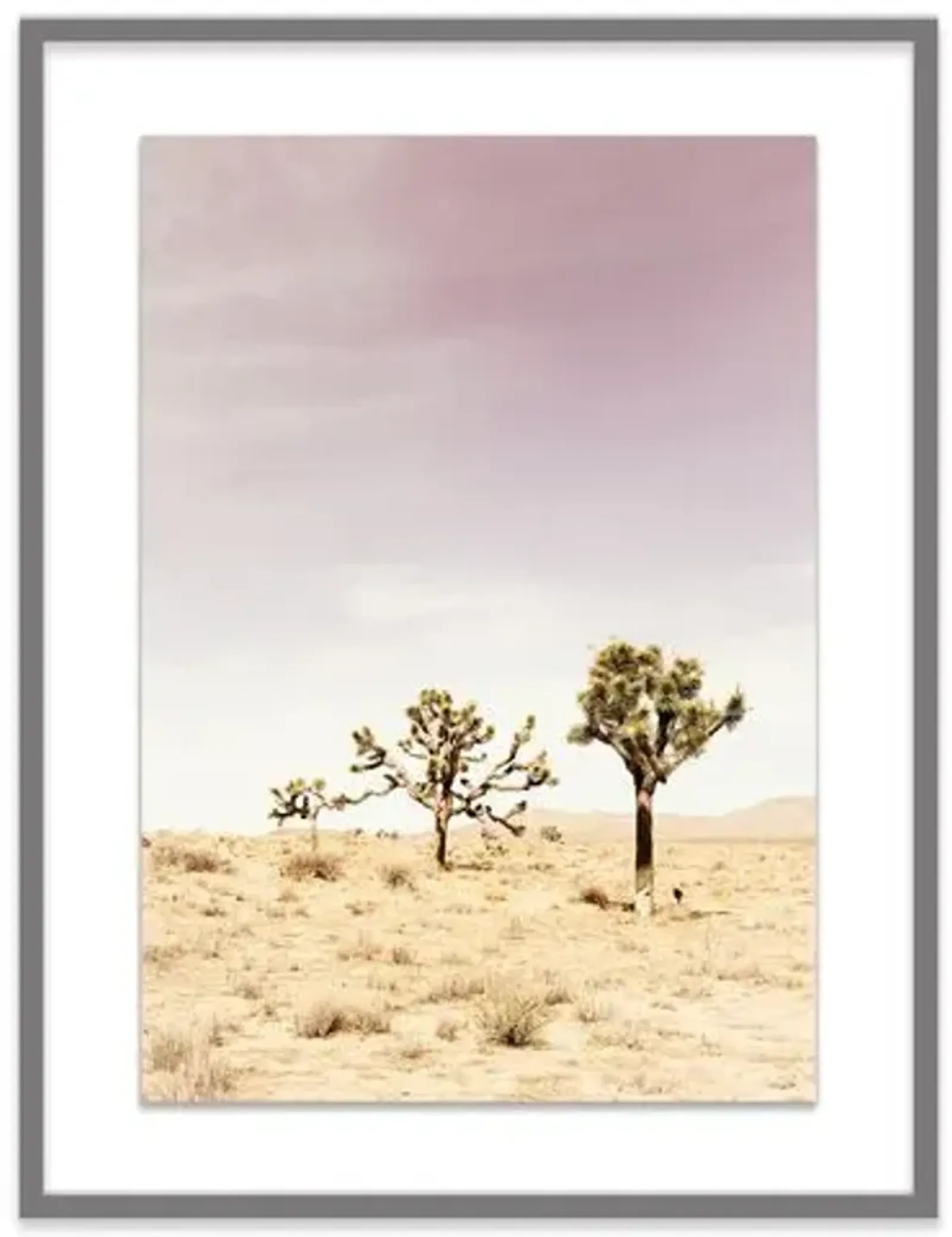 Christine Flynn - Joshua Tree II - Purple