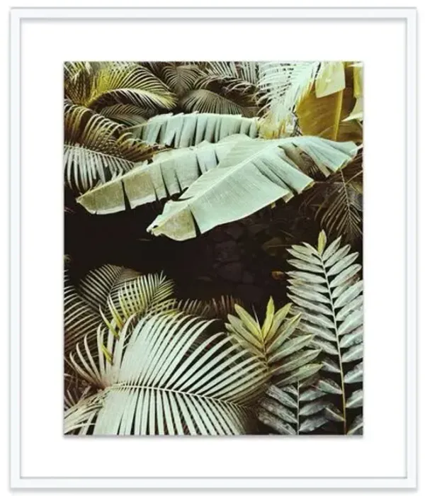 Christine Flynn - Palm Leaves Photograph - Green