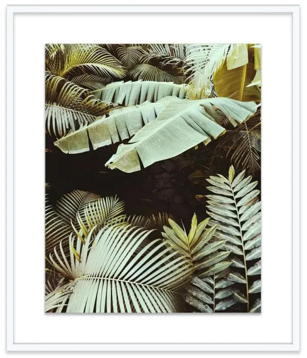 Christine Flynn, Palm Leaves Photograph