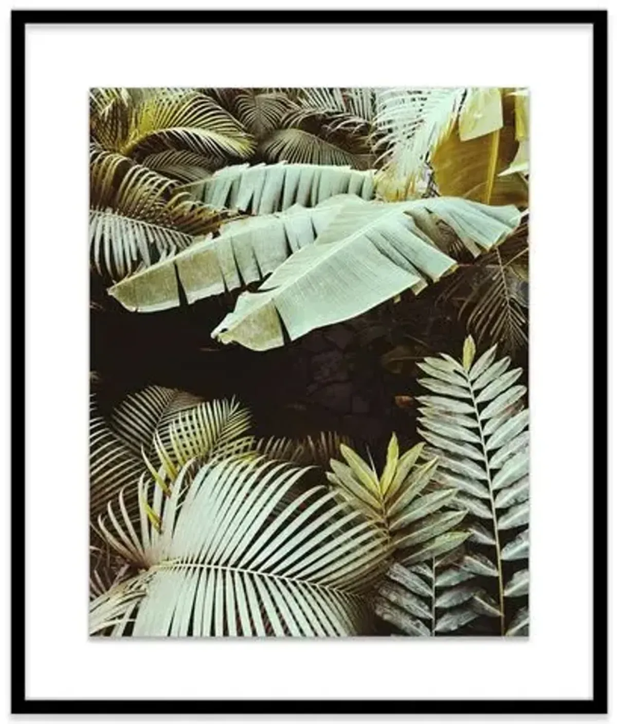 Christine Flynn - Palm Leaves - Green