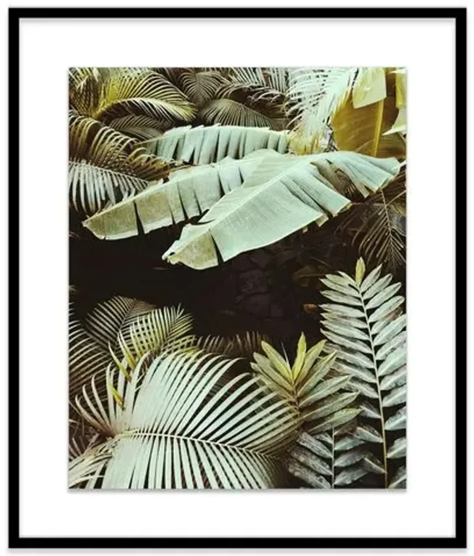 Christine Flynn - Palm Leaves - Green