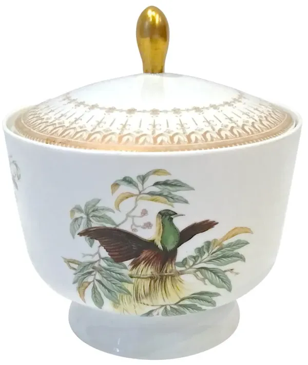 Mottahedeh Birds of Paradise Jar - Vermilion Designs - Ivory