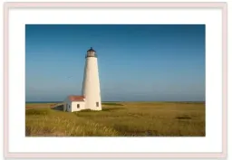 white washed maple color