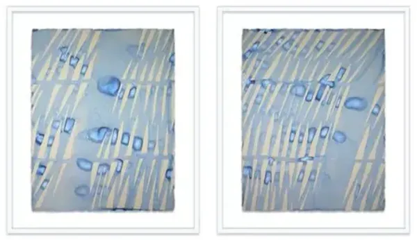 Kate Roebuck - Shadow I & II Diptych Painting