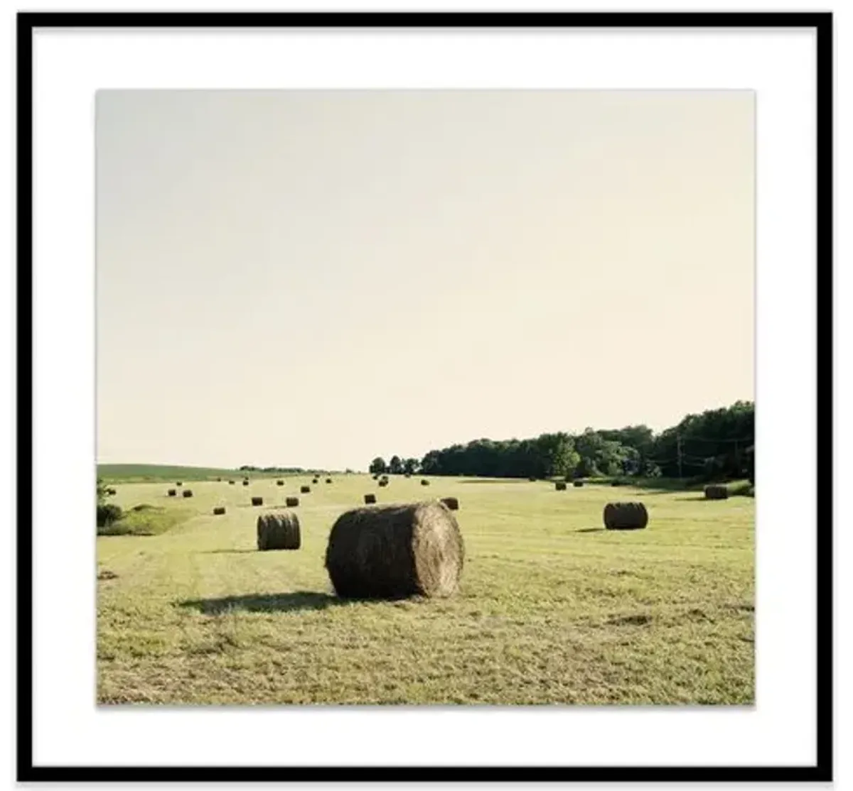 Christine Flynn - Hayfield Photograph