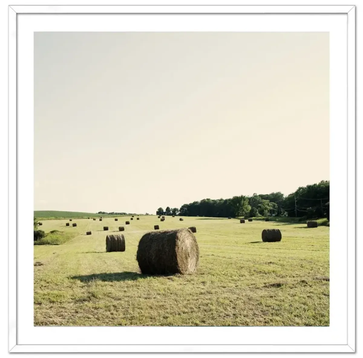 Christine Flynn, Hayfield Photograph