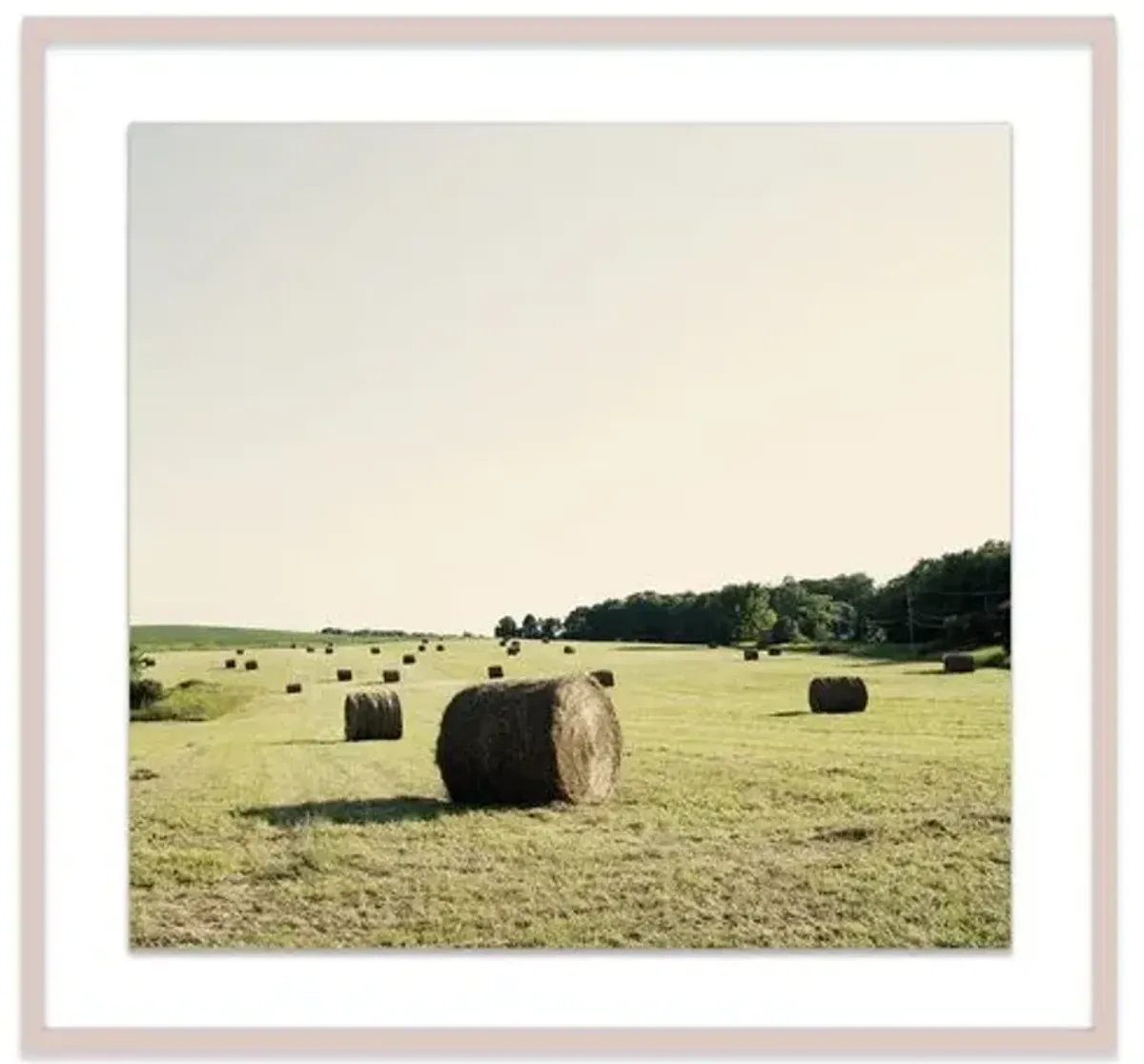 Christine Flynn - Hayfield Photograph