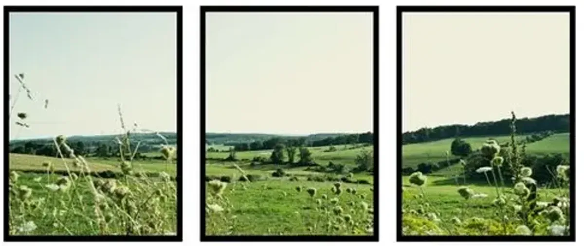 Christine Flynn - Hudson Valley Photograph