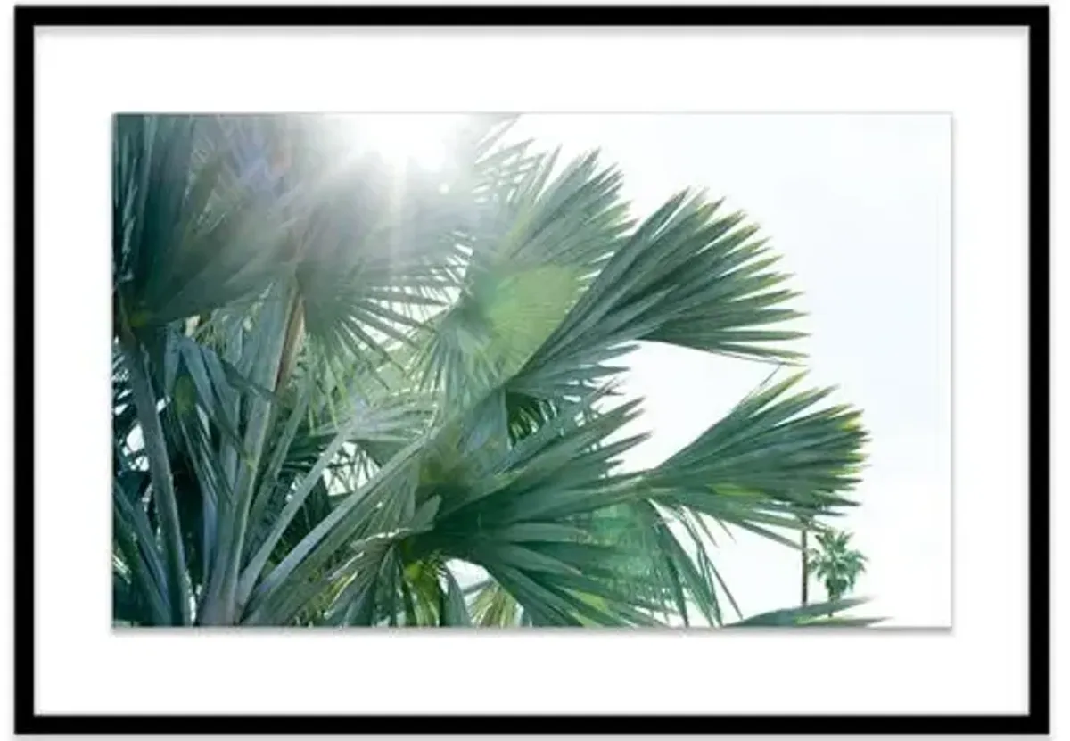 Christine Flynn - Palms Photograph