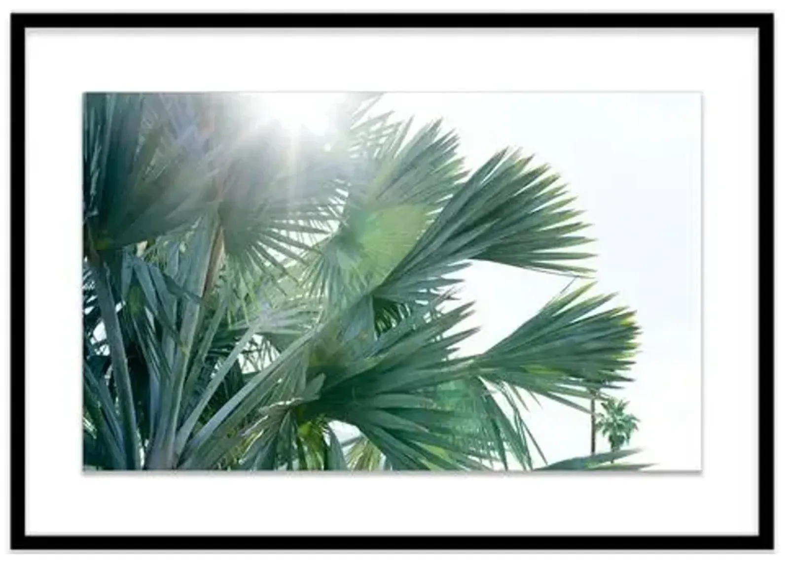 Christine Flynn - Palms