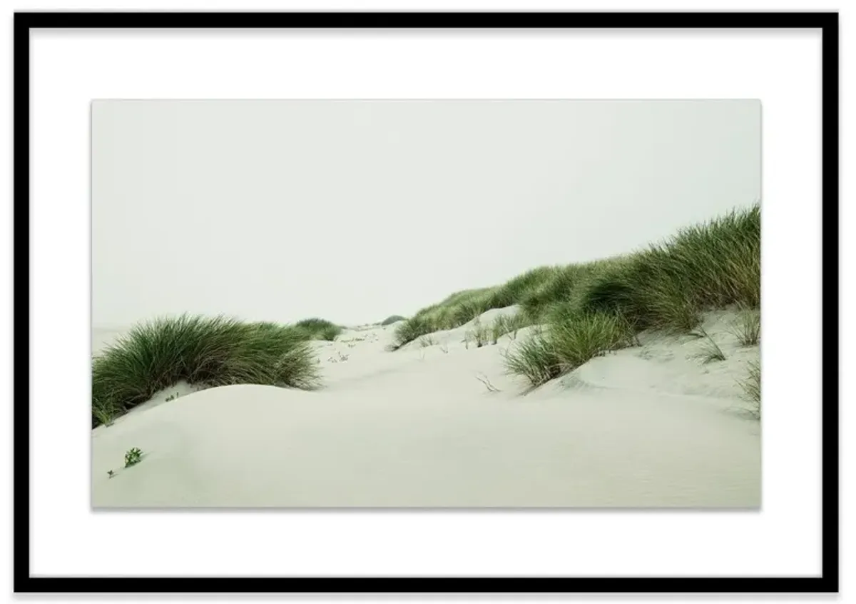 Christine Flynn, Oregon Dunes Photograph