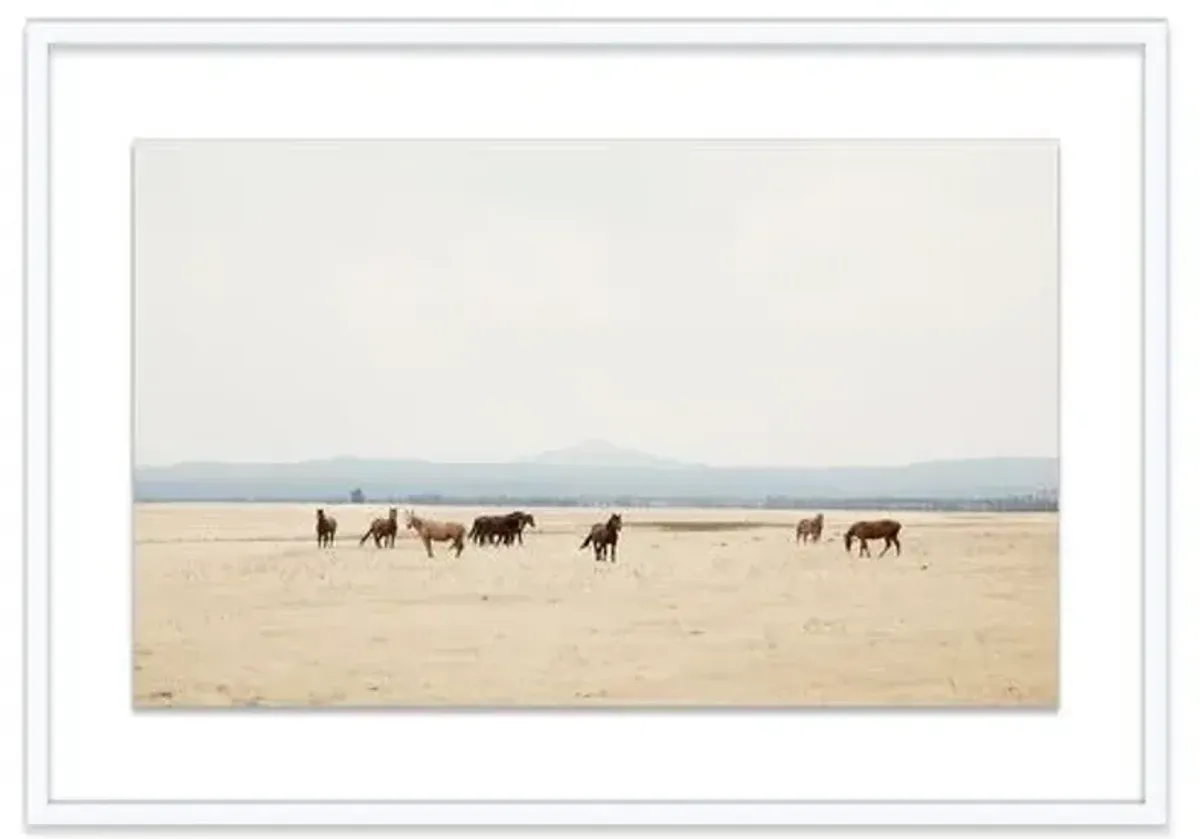 Christine Flynn - Wild Horses II